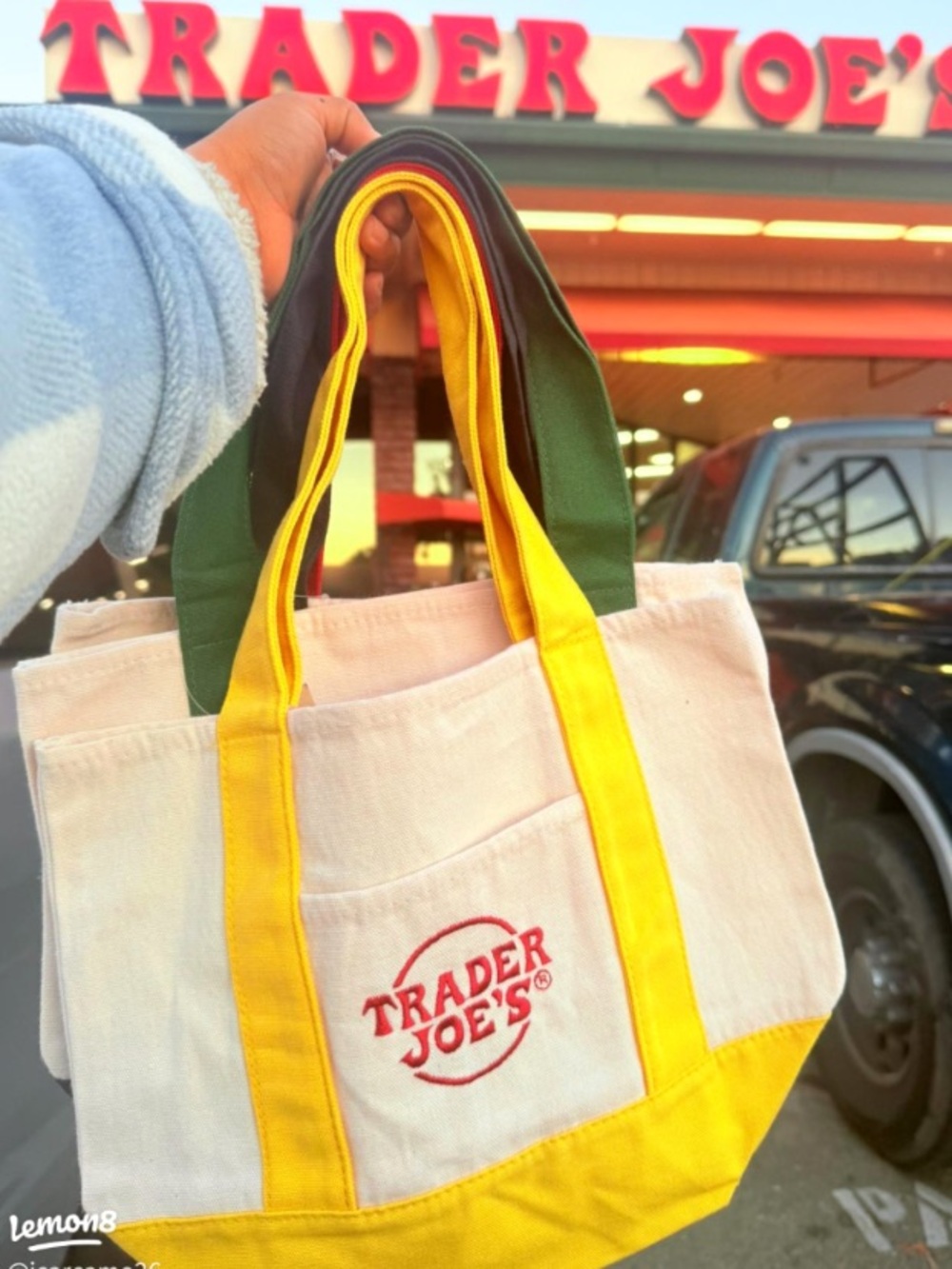 Trader Joe’s Yellow mini tote bag NWOT